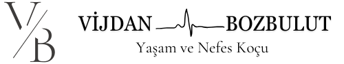 V7RENK ENERJİ